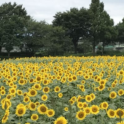  | 絶景事典