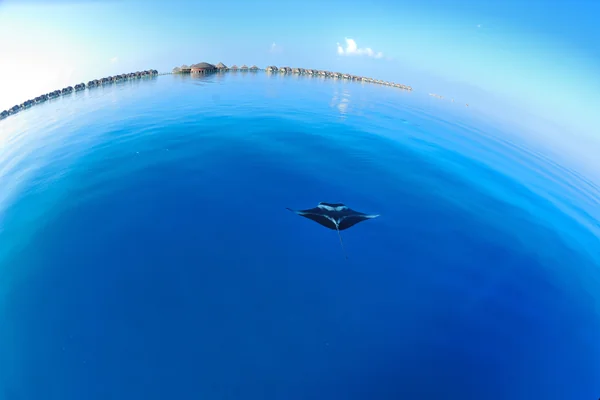 投稿：fly away