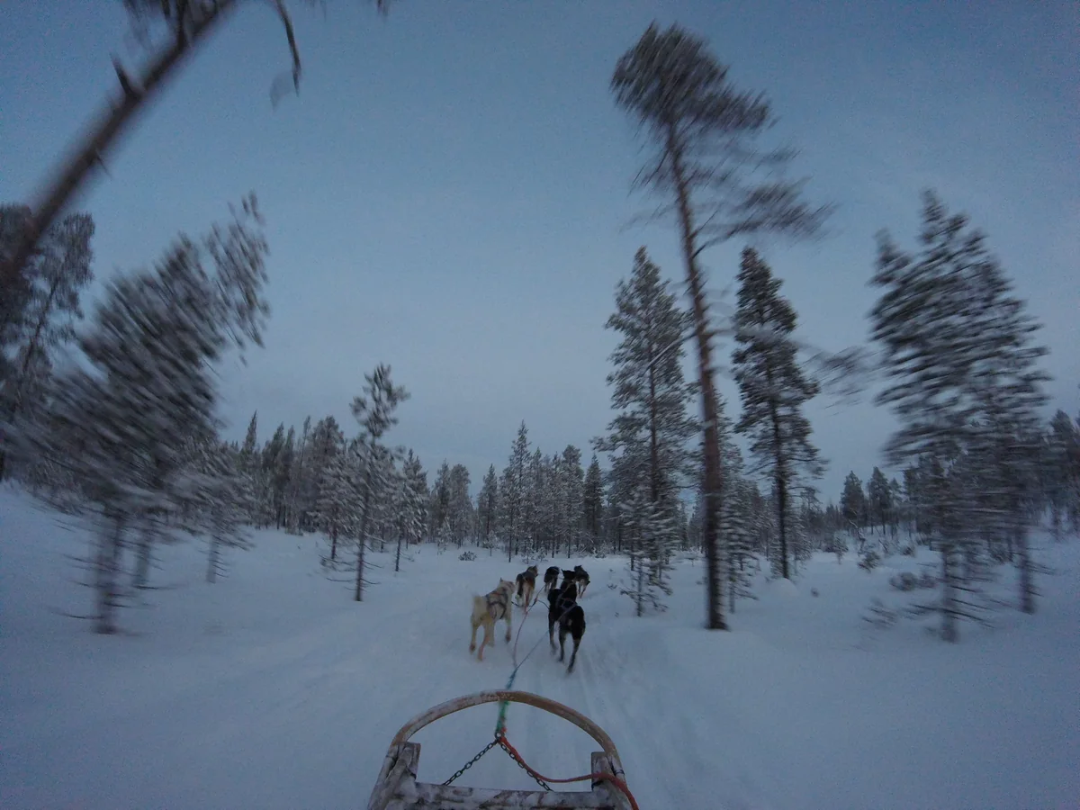 投稿写真：疾走感◎