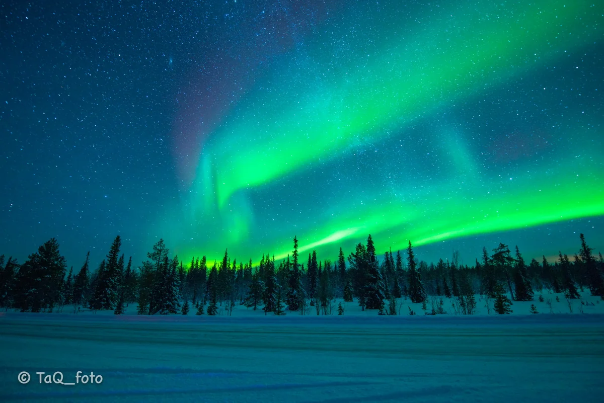 投稿写真：年を跨ぐ光