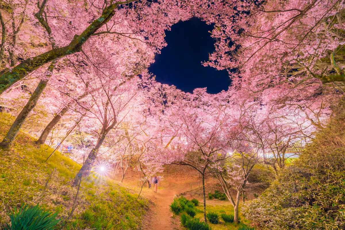 投稿写真：高遠城址公園