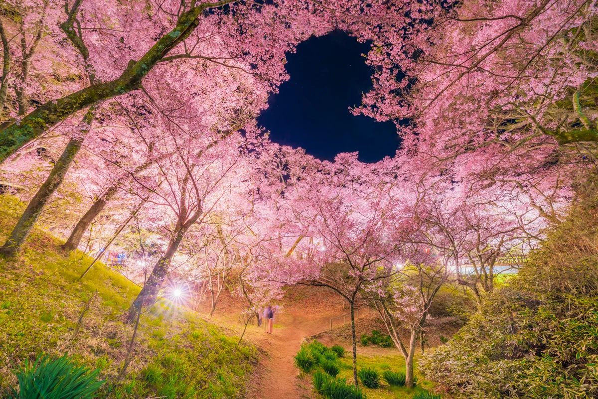 投稿写真：高遠城址公園