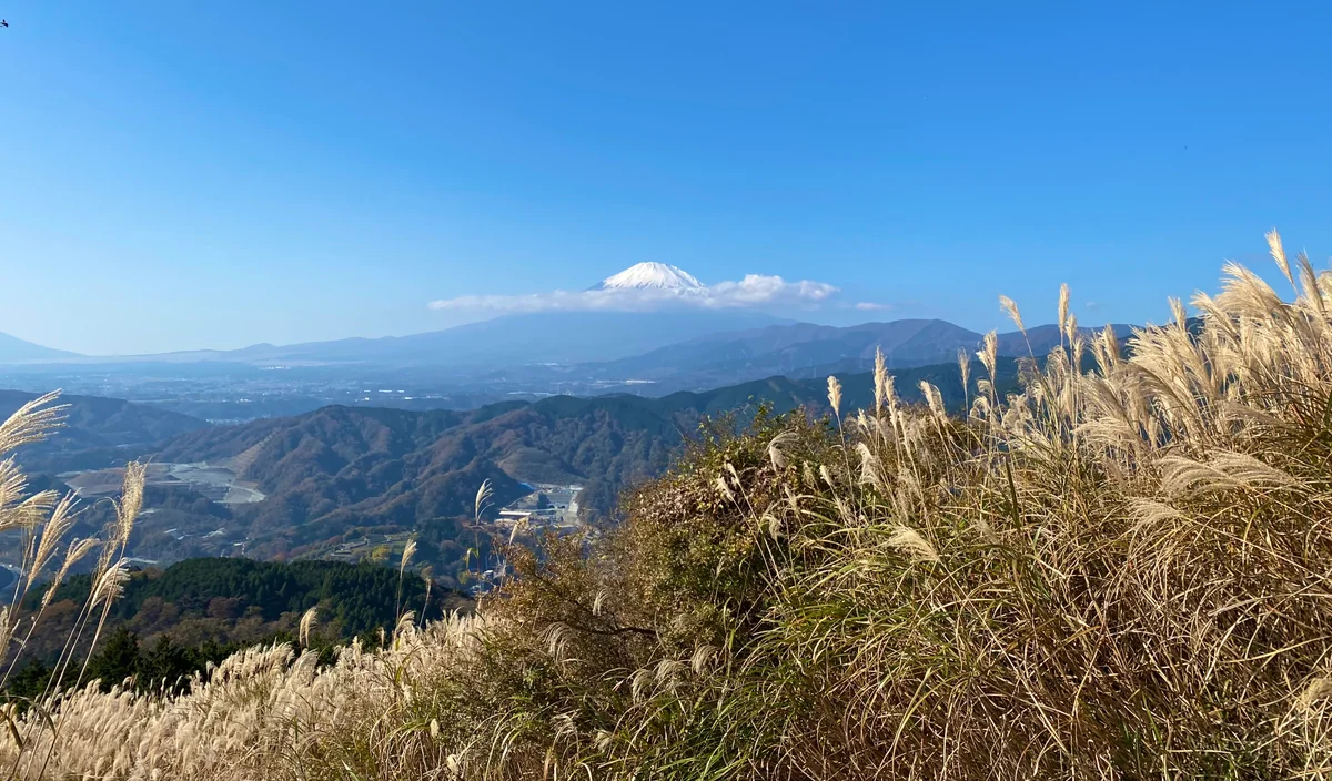 投稿写真：秋富士