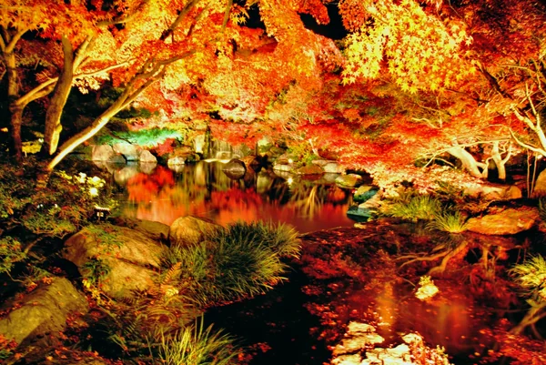 投稿：燃えるような紅葉。