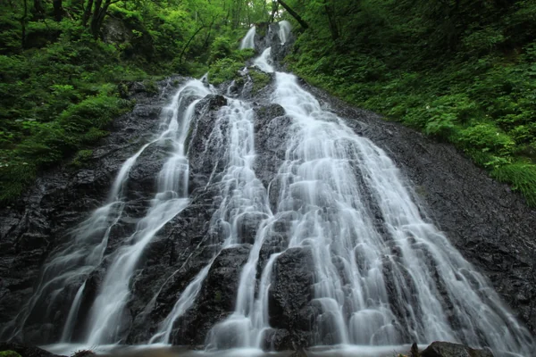投稿：夕栗の滝