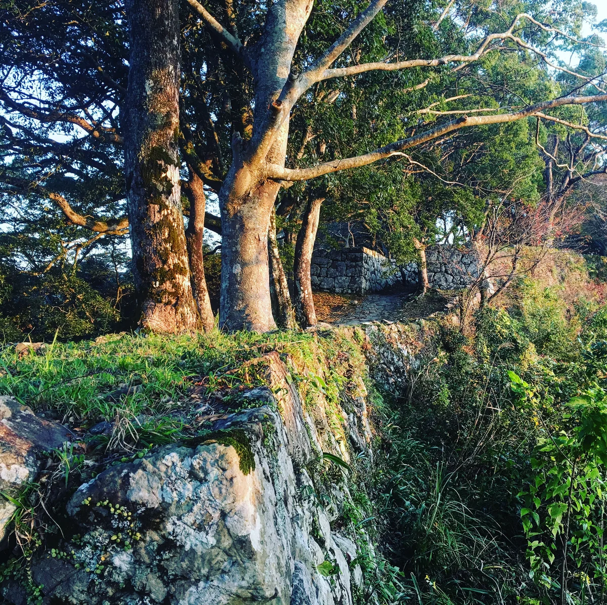 投稿写真：佐伯城