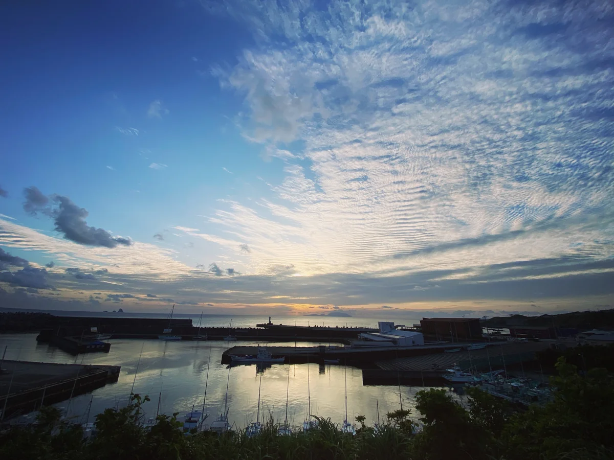 投稿写真：よく見る顔