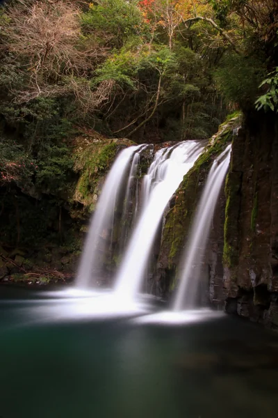投稿：河津七滝 初景滝