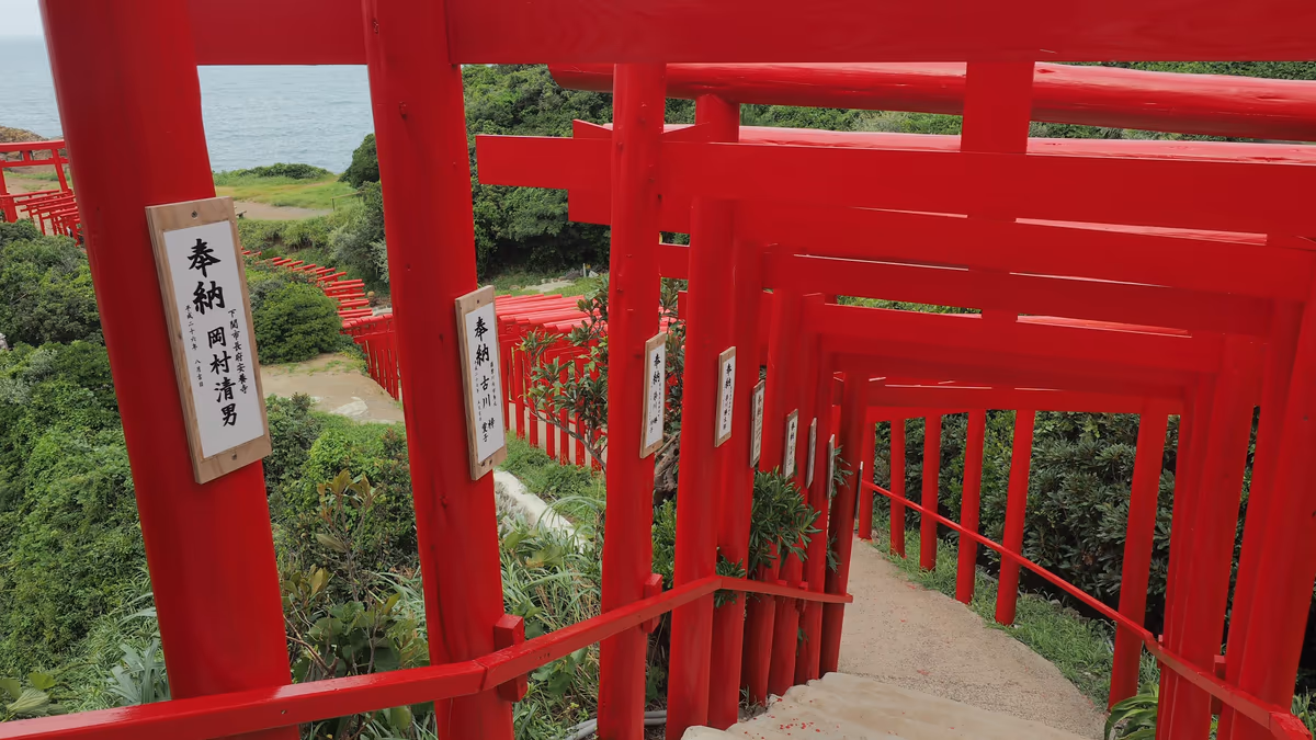 投稿写真：元乃隅稲成神社　鳥居の回廊