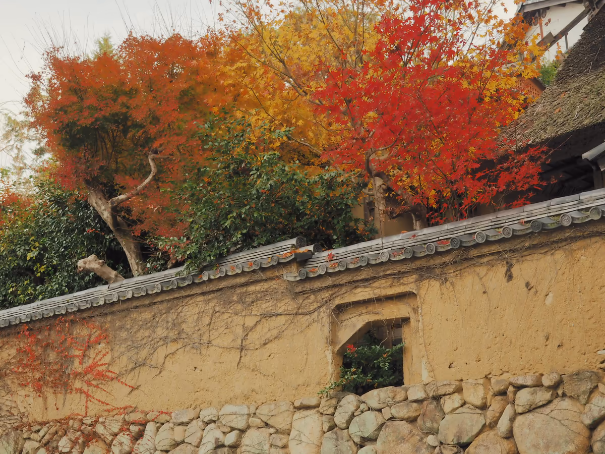 投稿写真：土塀と紅葉
