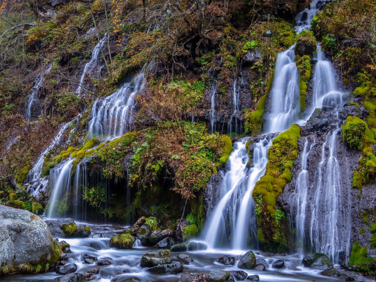 投稿写真：秋の吐竜の滝と渓流