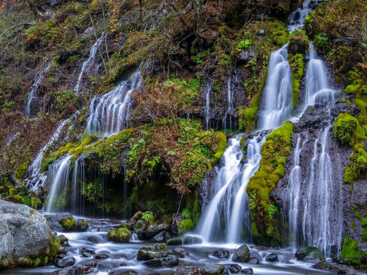 投稿写真：秋の吐竜の滝と渓流