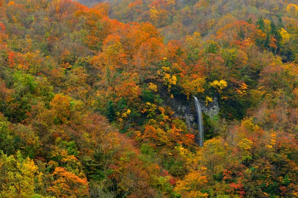 投稿：名もなき滝