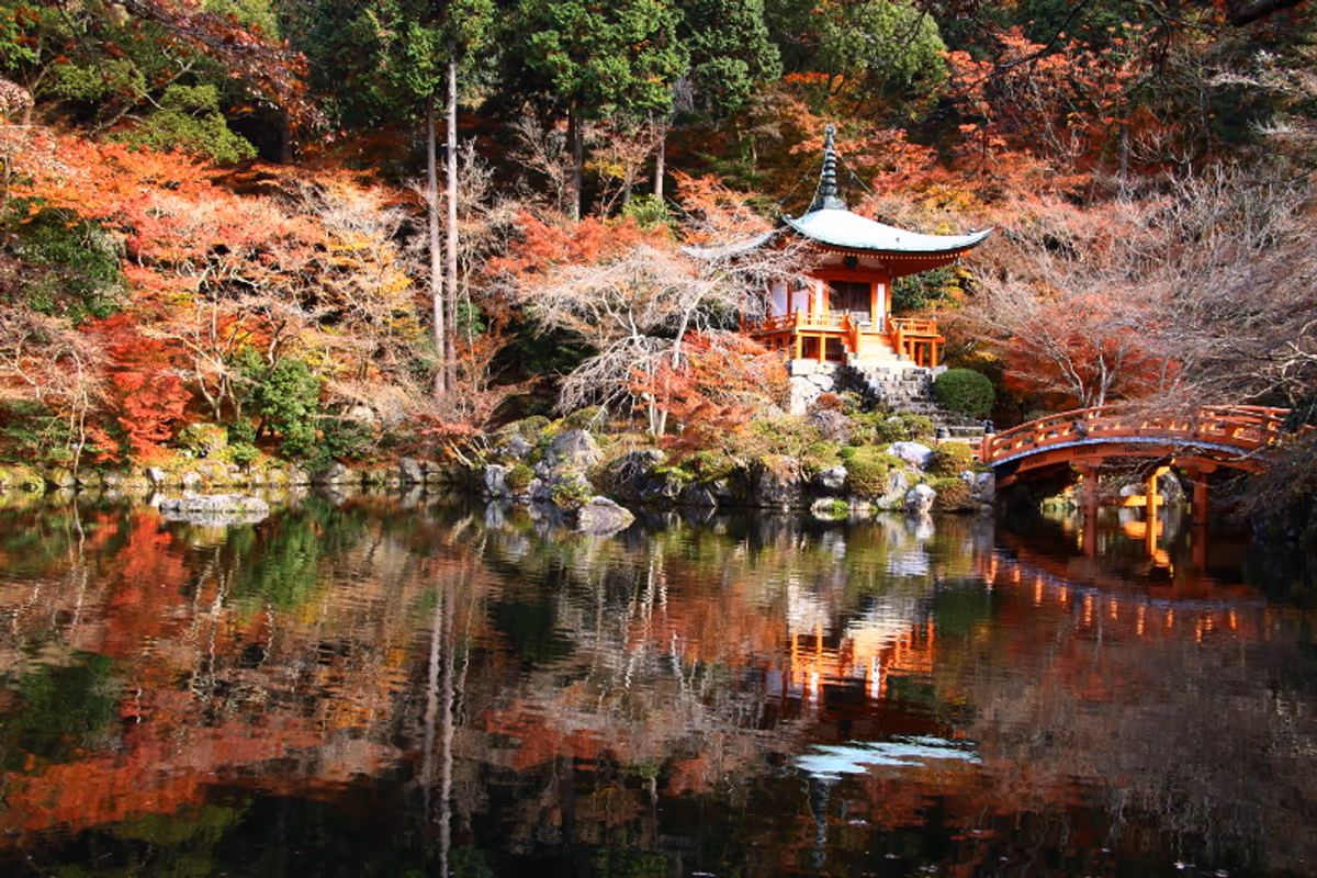 投稿写真：紅葉