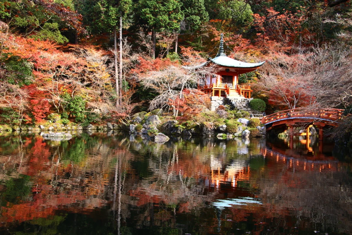 投稿写真：紅葉