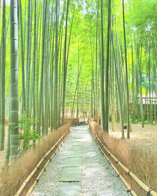  | 絶景事典