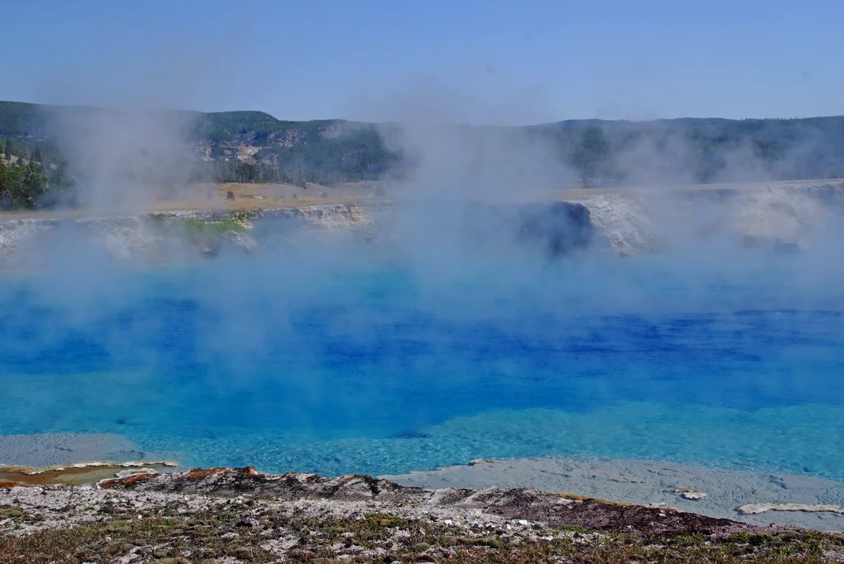 投稿写真：イエローストーンへの旅、2017