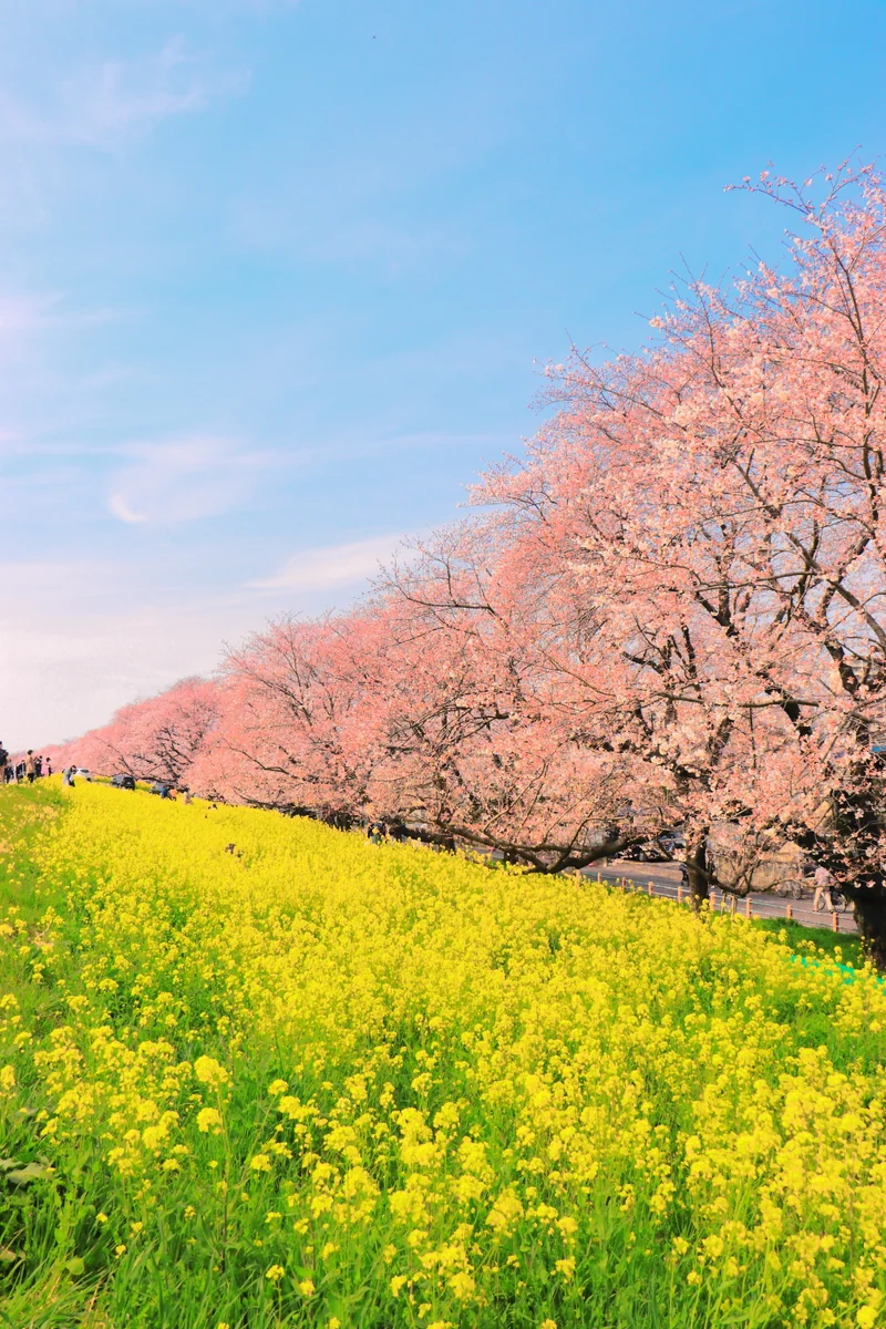 KNDさんの投稿写真