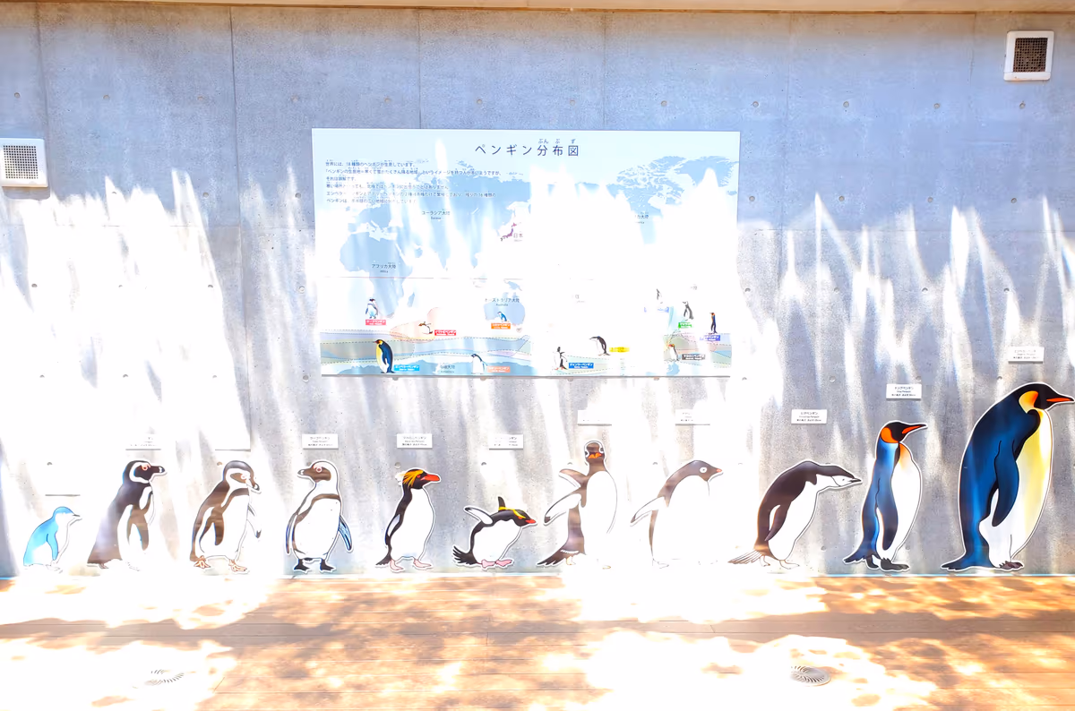 投稿写真：森きららのペンギン館