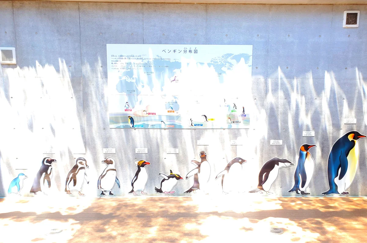 投稿写真：森きららのペンギン館