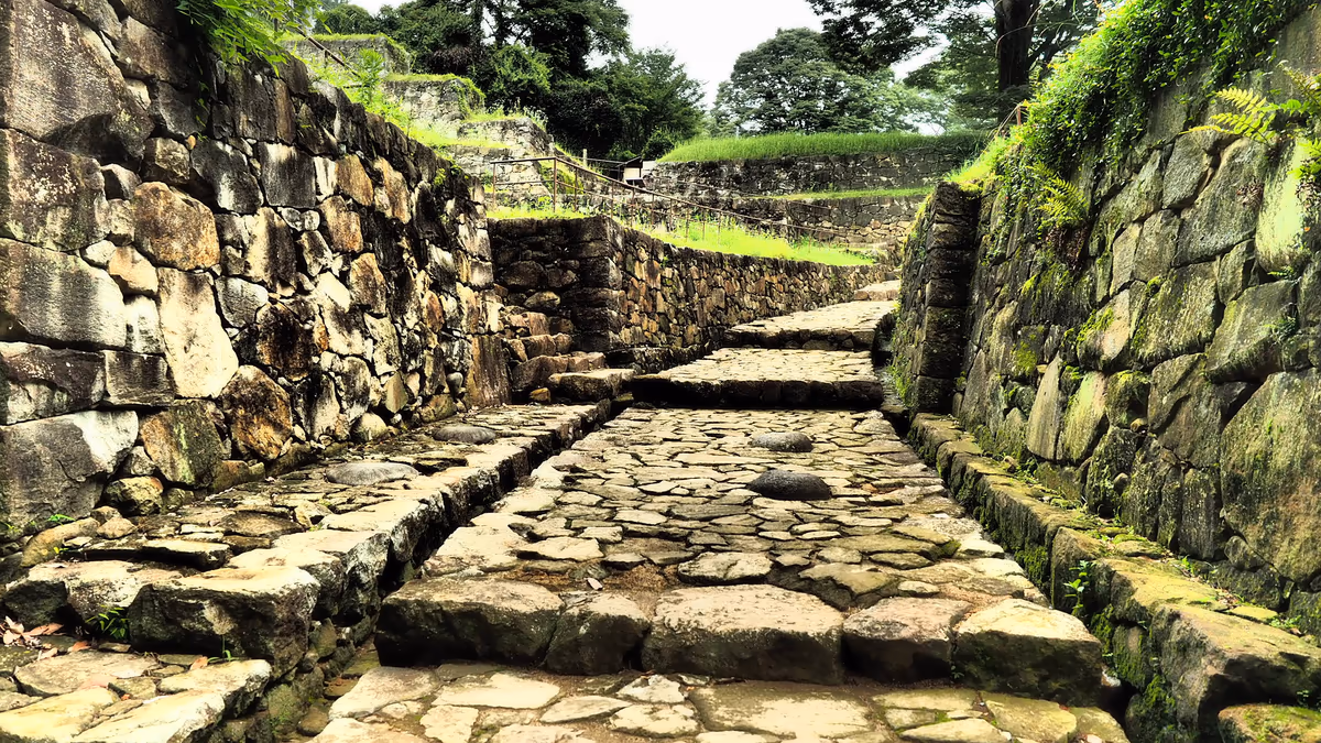 投稿写真：新田金山城