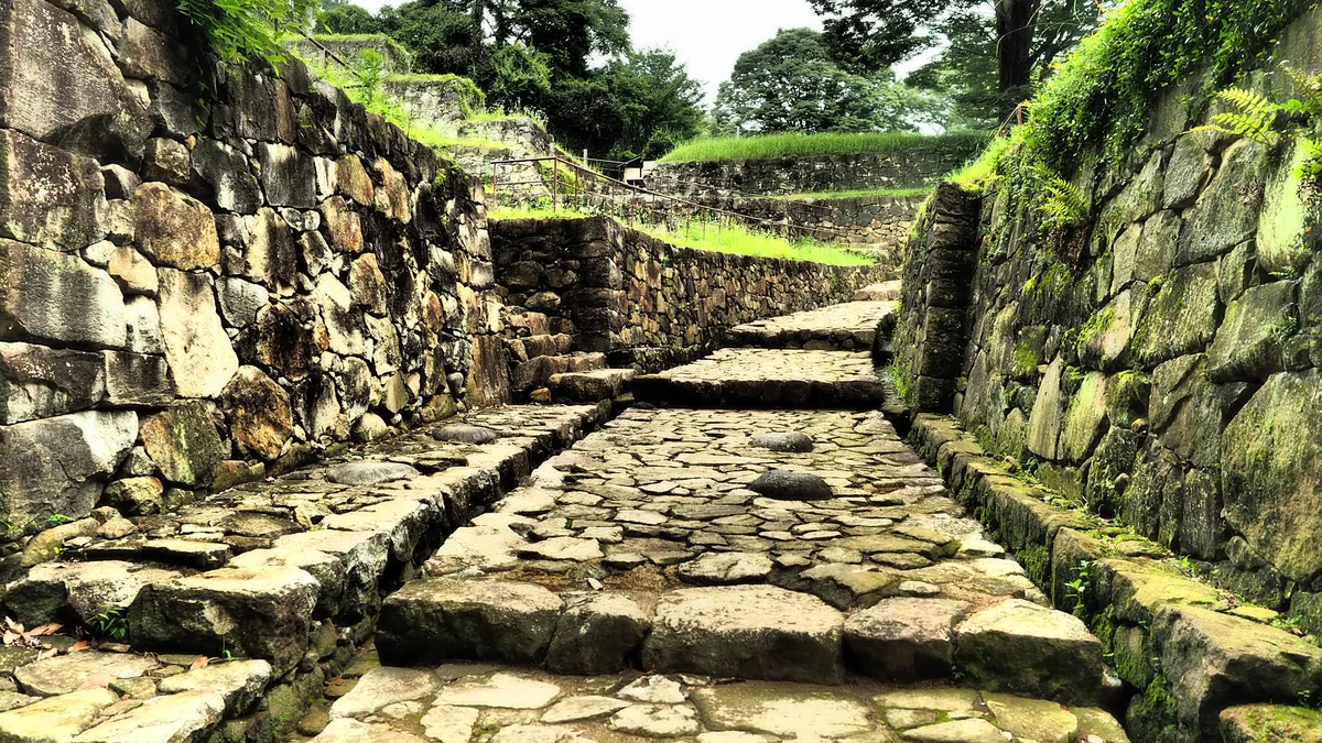 投稿写真：新田金山城