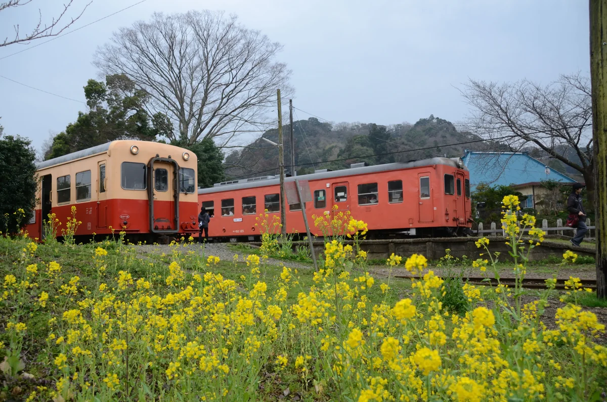 投稿写真：終着駅・始発駅