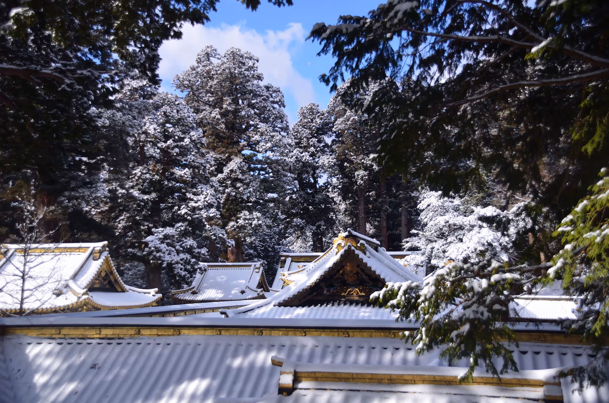 投稿写真：雪屋根
