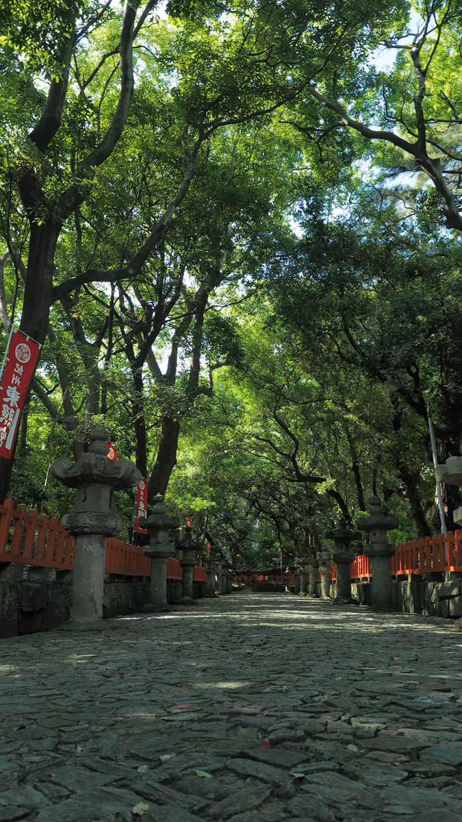 投稿写真：紀州東照宮参道