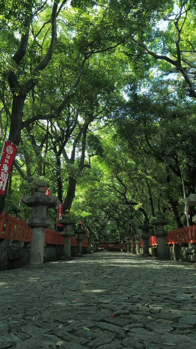 投稿写真：紀州東照宮参道