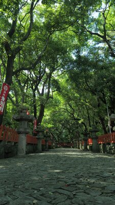  | 絶景事典