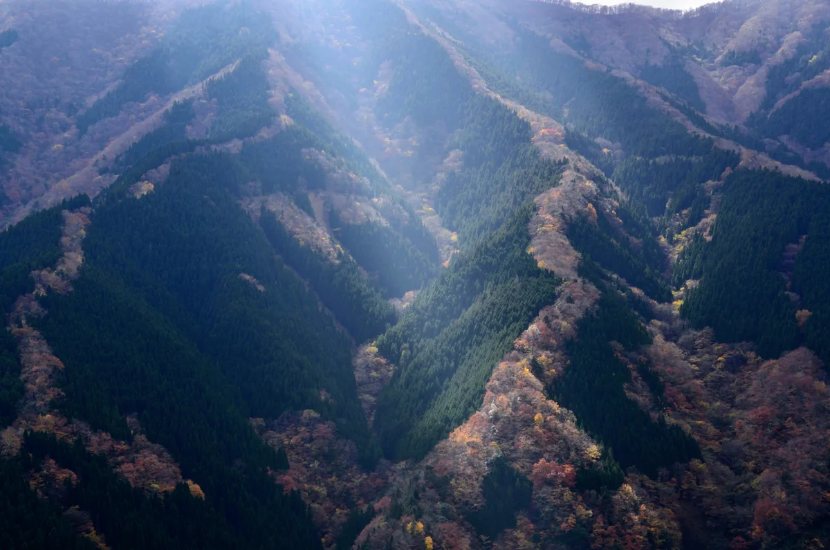 投稿写真：ナメゴ谷紅葉