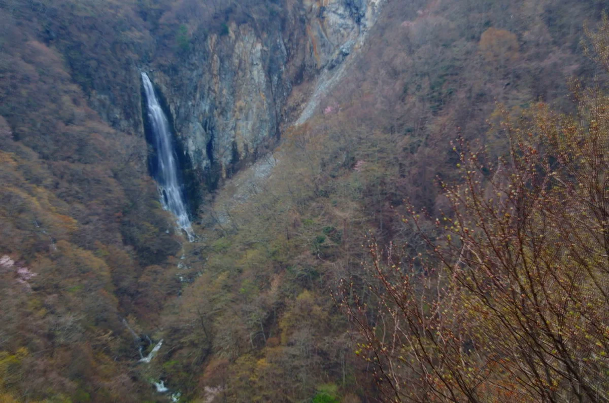 投稿写真：春の澗満滝