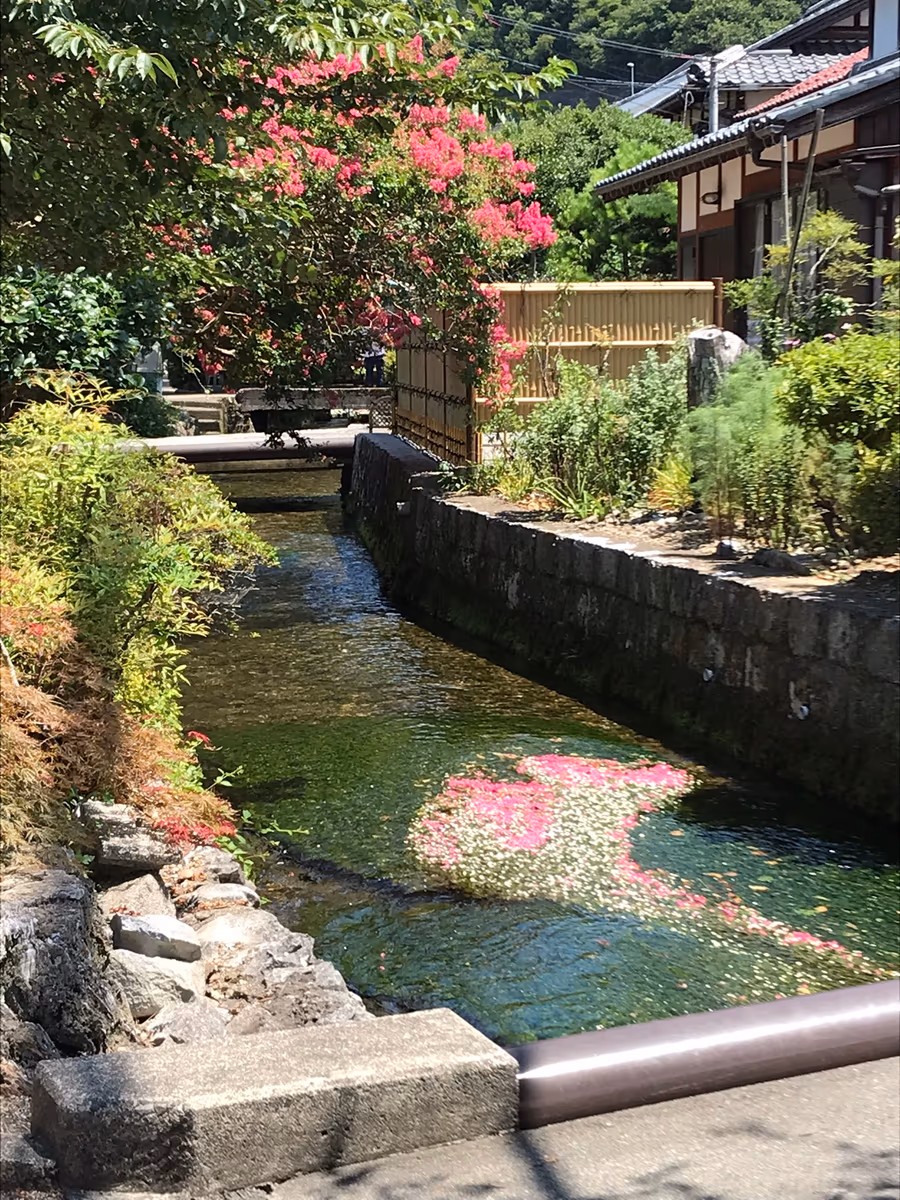 投稿写真：醒井にて