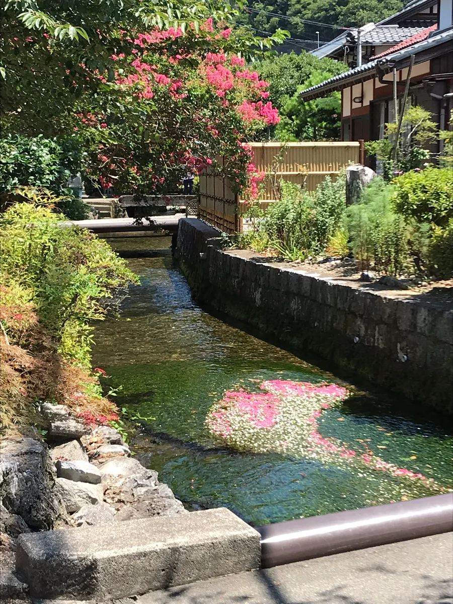 投稿写真：醒井にて