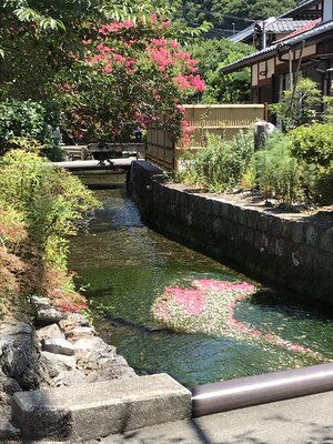  | 絶景事典