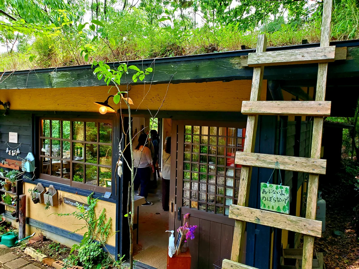 投稿写真：風の森