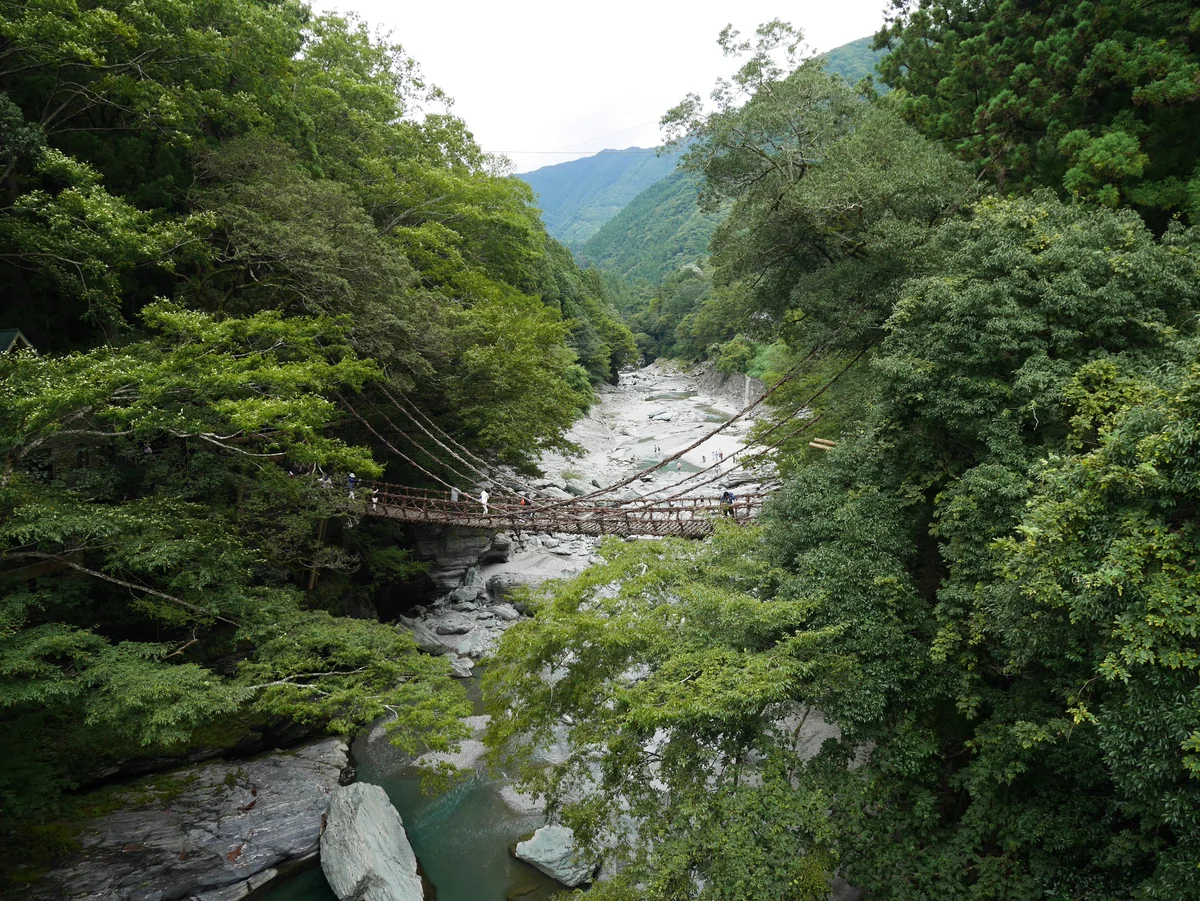 投稿写真：121祖谷のかずら橋（徳島）