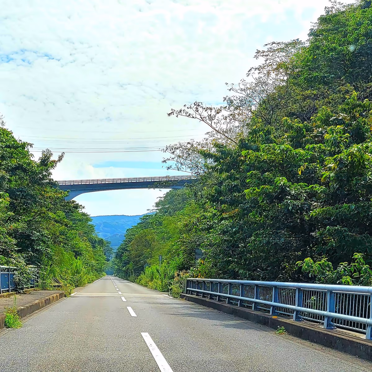 投稿写真：農道
