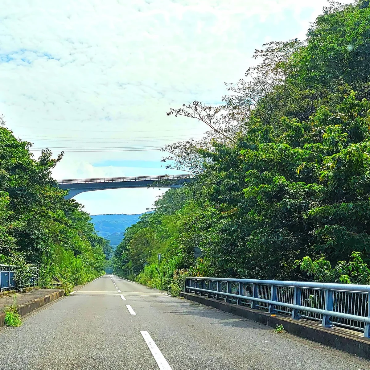 投稿写真：農道