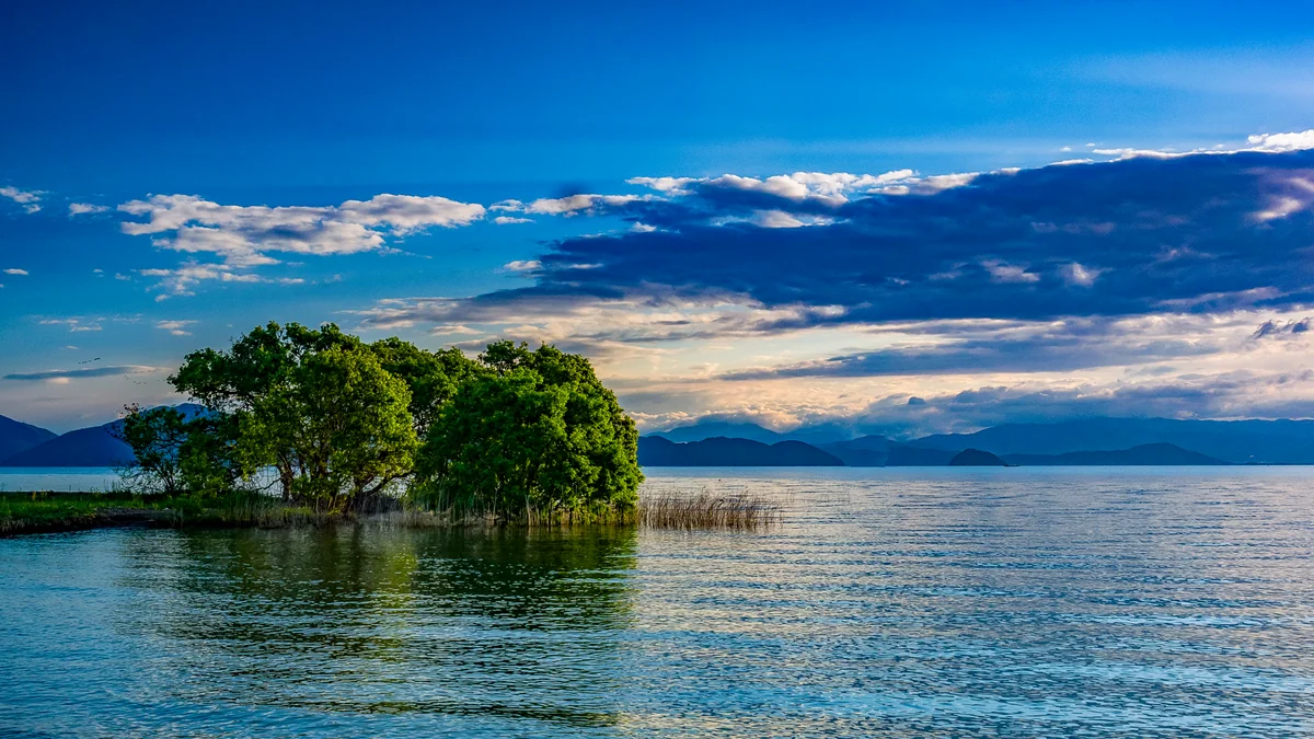 投稿写真：新緑の湖畔２０１８