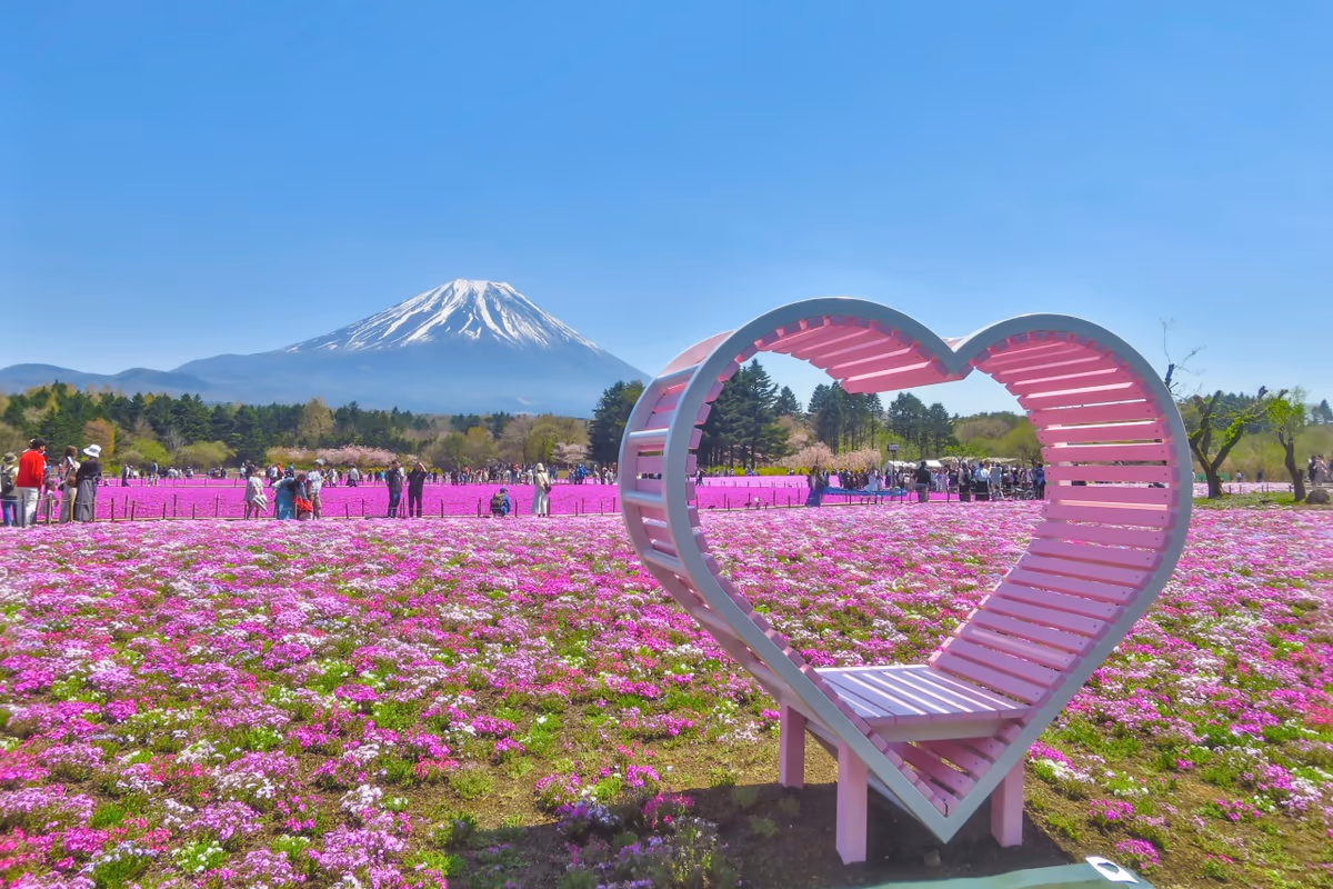 投稿写真：富士芝桜まつり~ハートオブジェと芝桜と富士山