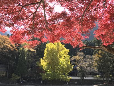  | 絶景事典