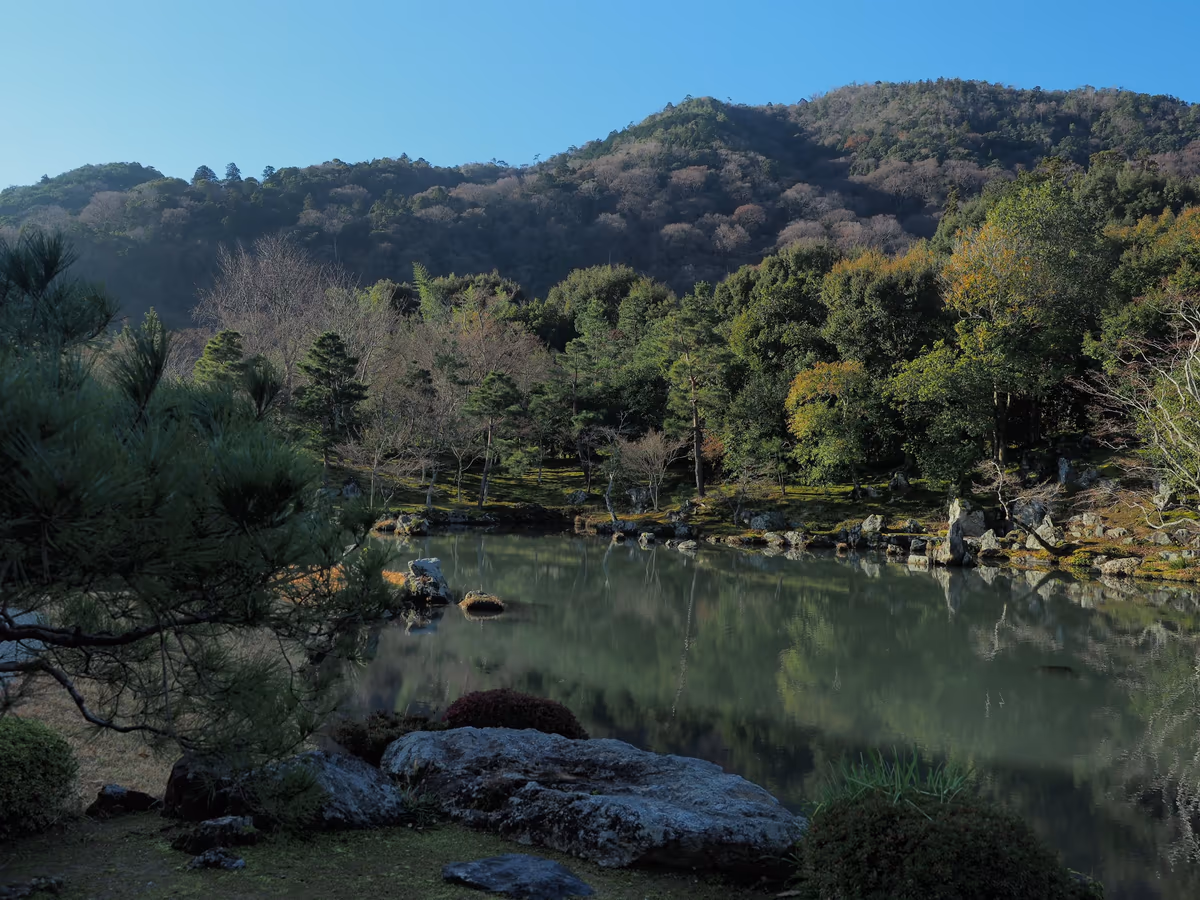 投稿写真：天龍寺庭園