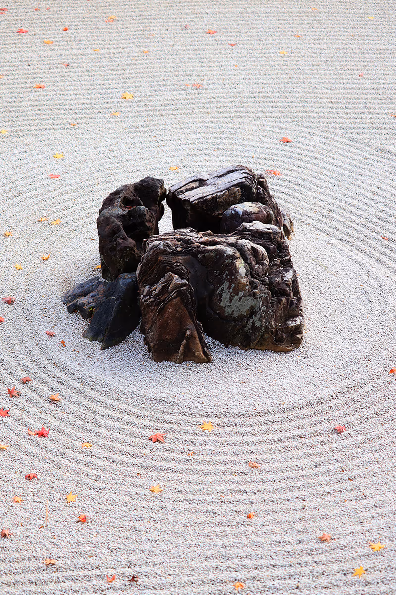 投稿写真：妙顕寺