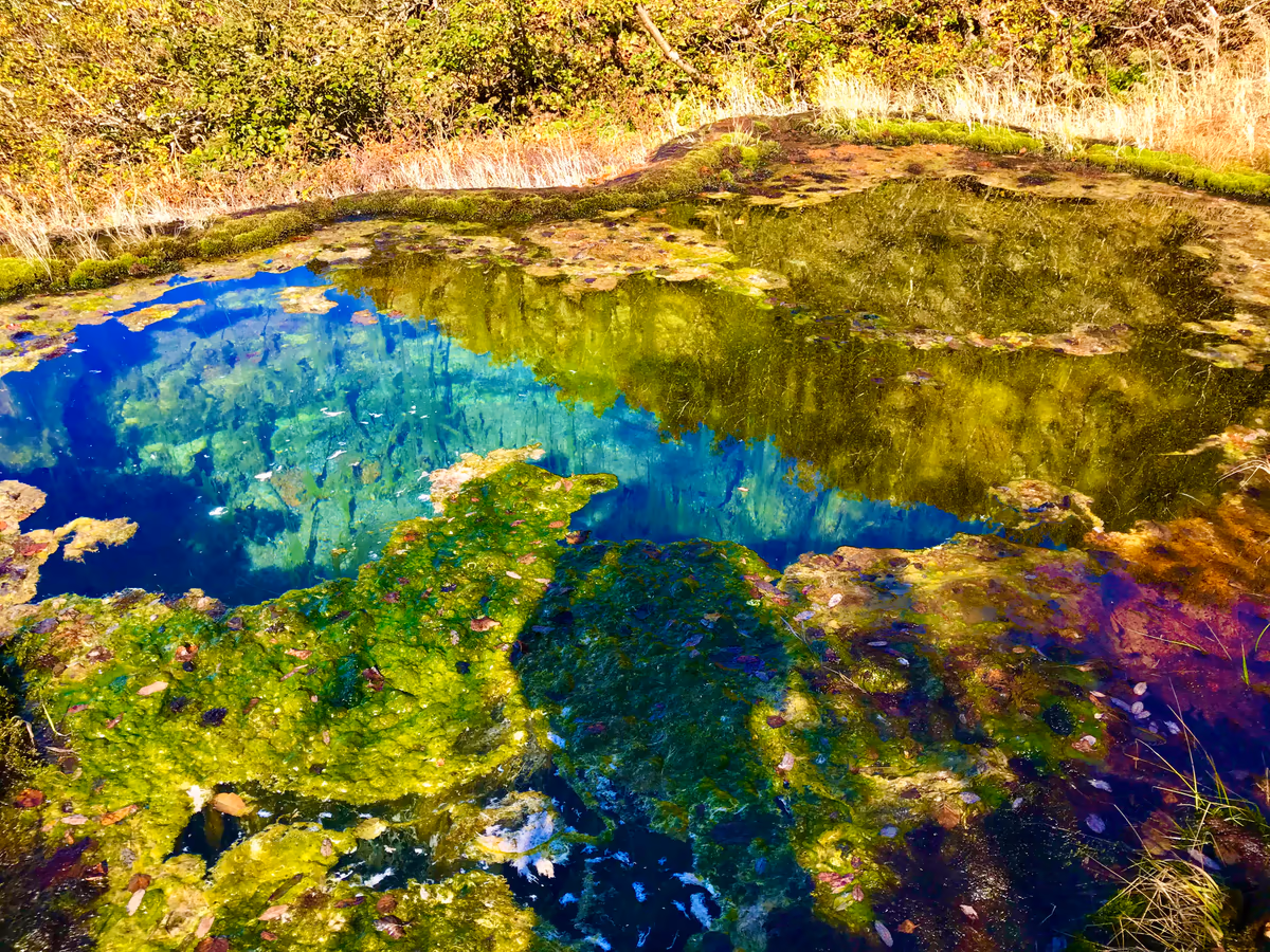 投稿写真：龍神の池