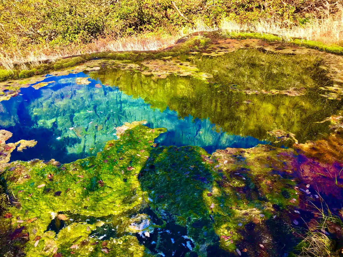 投稿写真：龍神の池