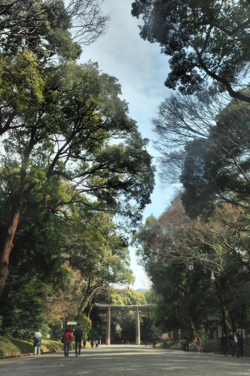 投稿写真：明治神宮参道