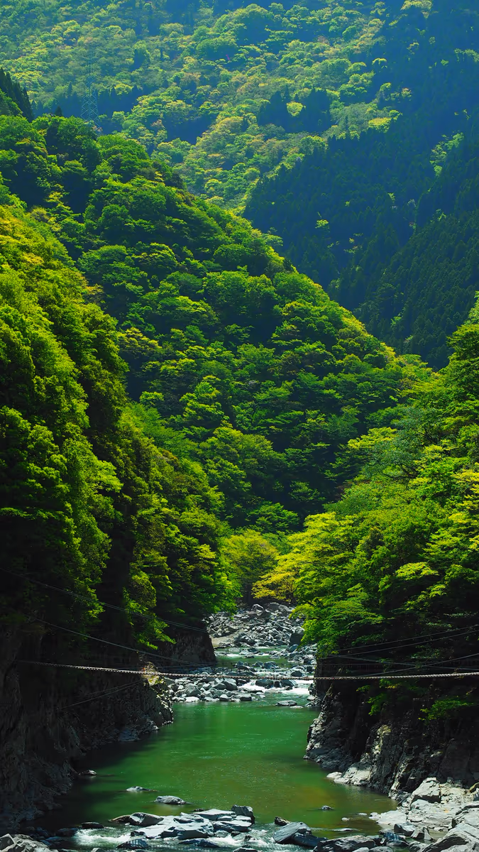 投稿写真：祖谷渓谷　緑映
