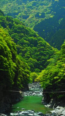  | 絶景事典